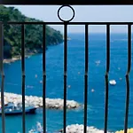 Coltur Sorrento