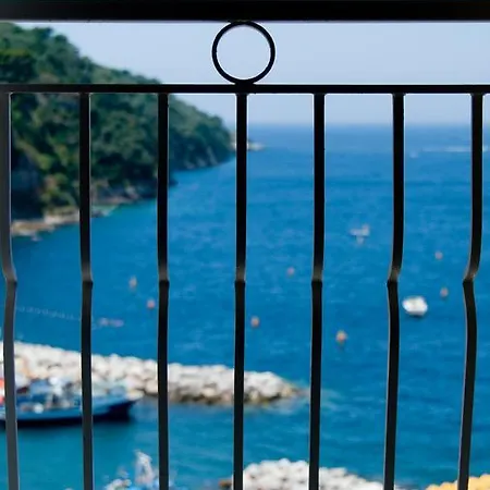 Coltur Sorrento