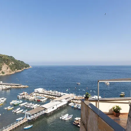 Coltur Διαμέρισμα